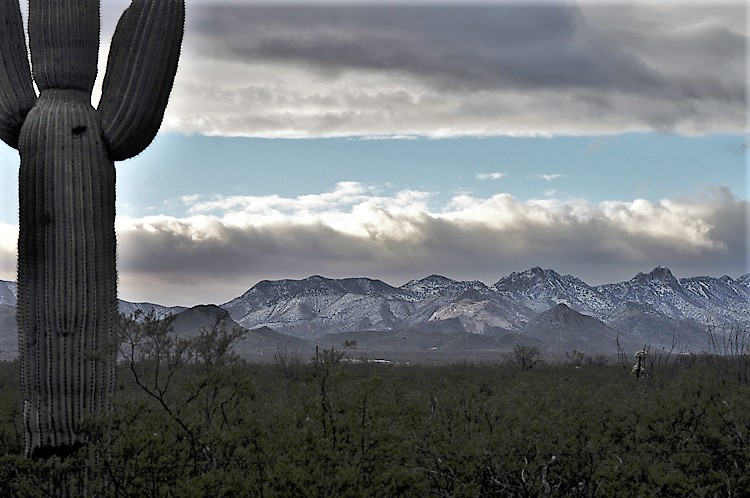 snow-capped mtns